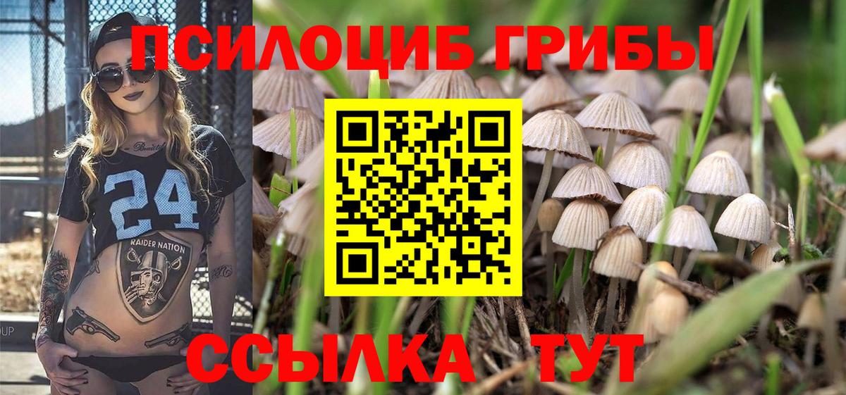 закладки  Галлюциногенные грибы прущие грибы  Вход с VPN  Комсомольск-на-Амуре  Галлюциногенные грибы Magic Shrooms 